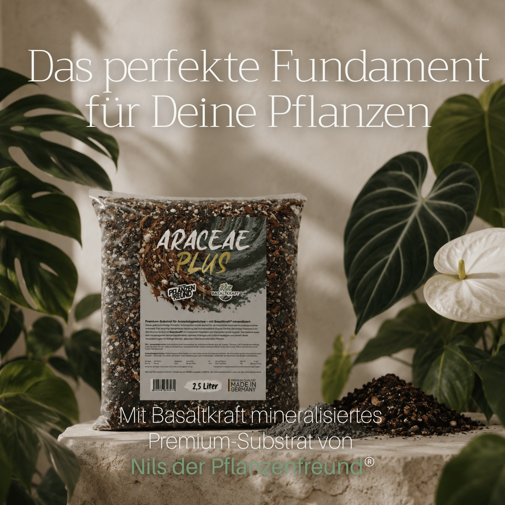 Araceae PLUS | Premium-Substrat mit Basaltkraft® mineralisiert