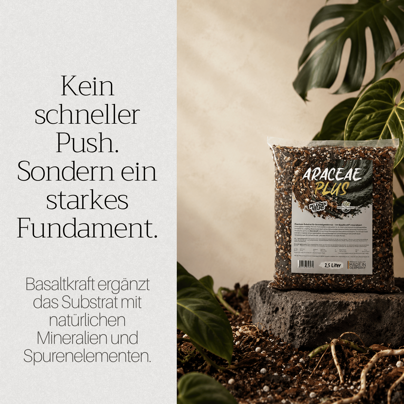 Araceae PLUS | Premium-Substrat mit Basaltkraft® mineralisiert
