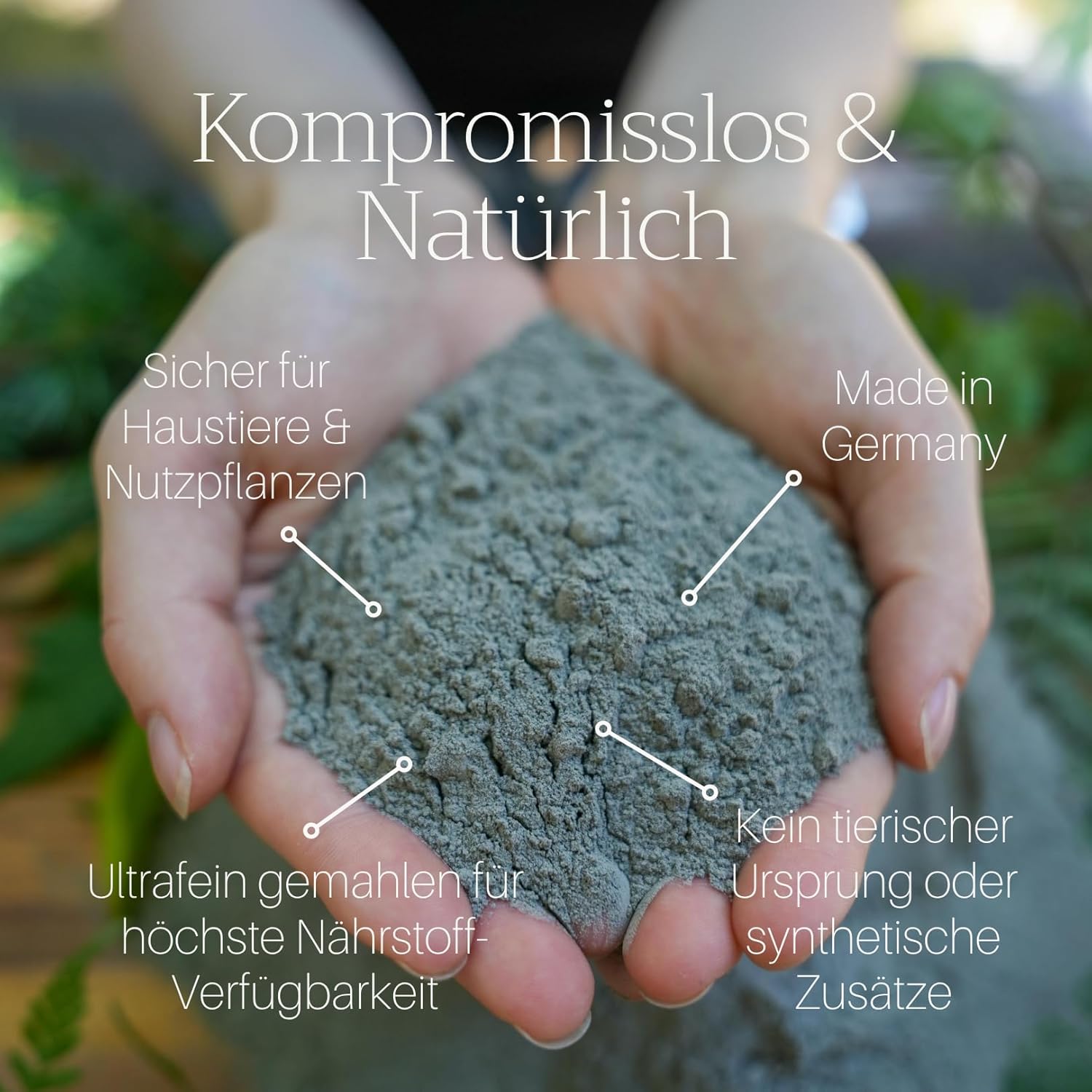 Basaltkraft (600g) | Premium-Supplement für Zimmerpflanzen