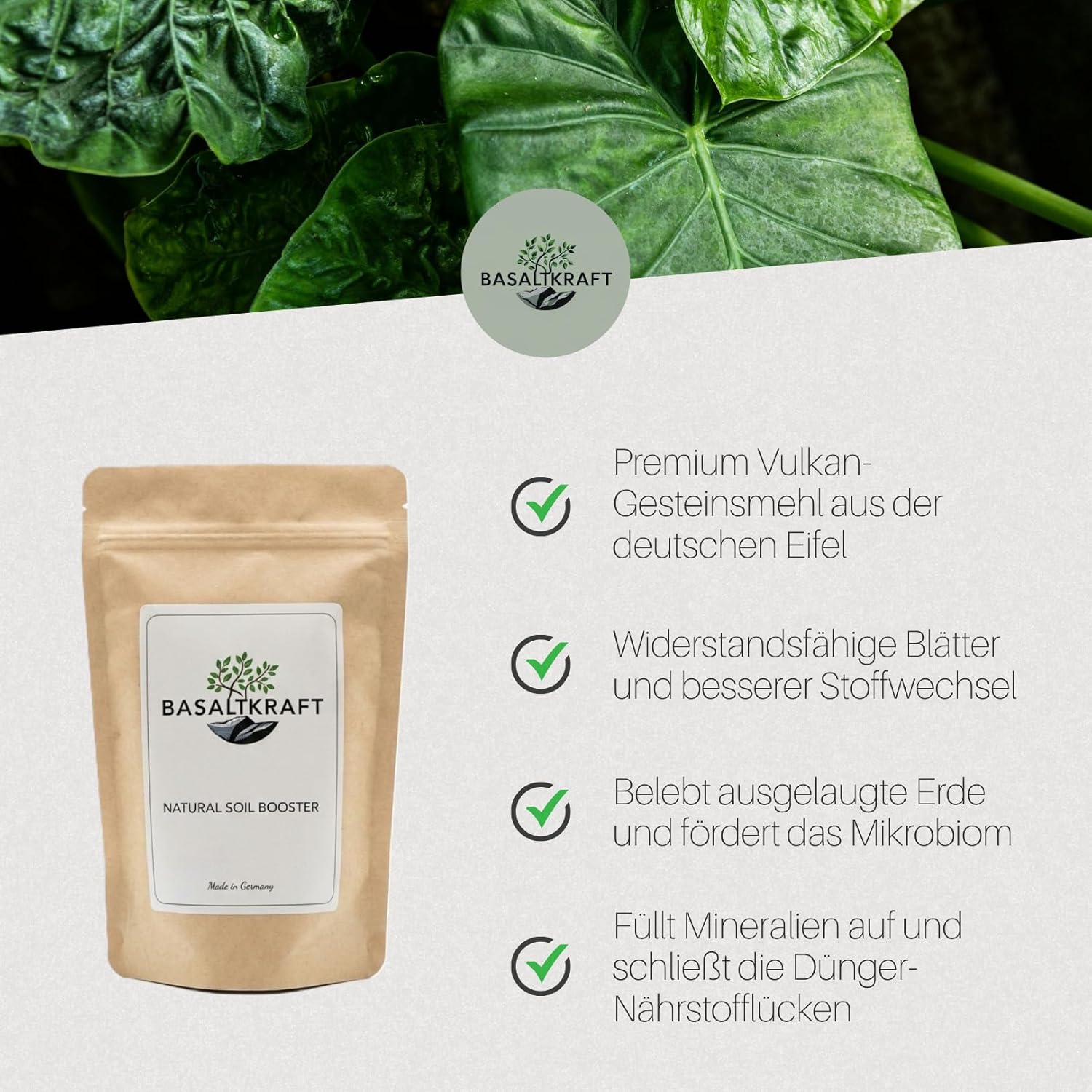 Basaltkraft (600g) | Premium-Supplement für Zimmerpflanzen