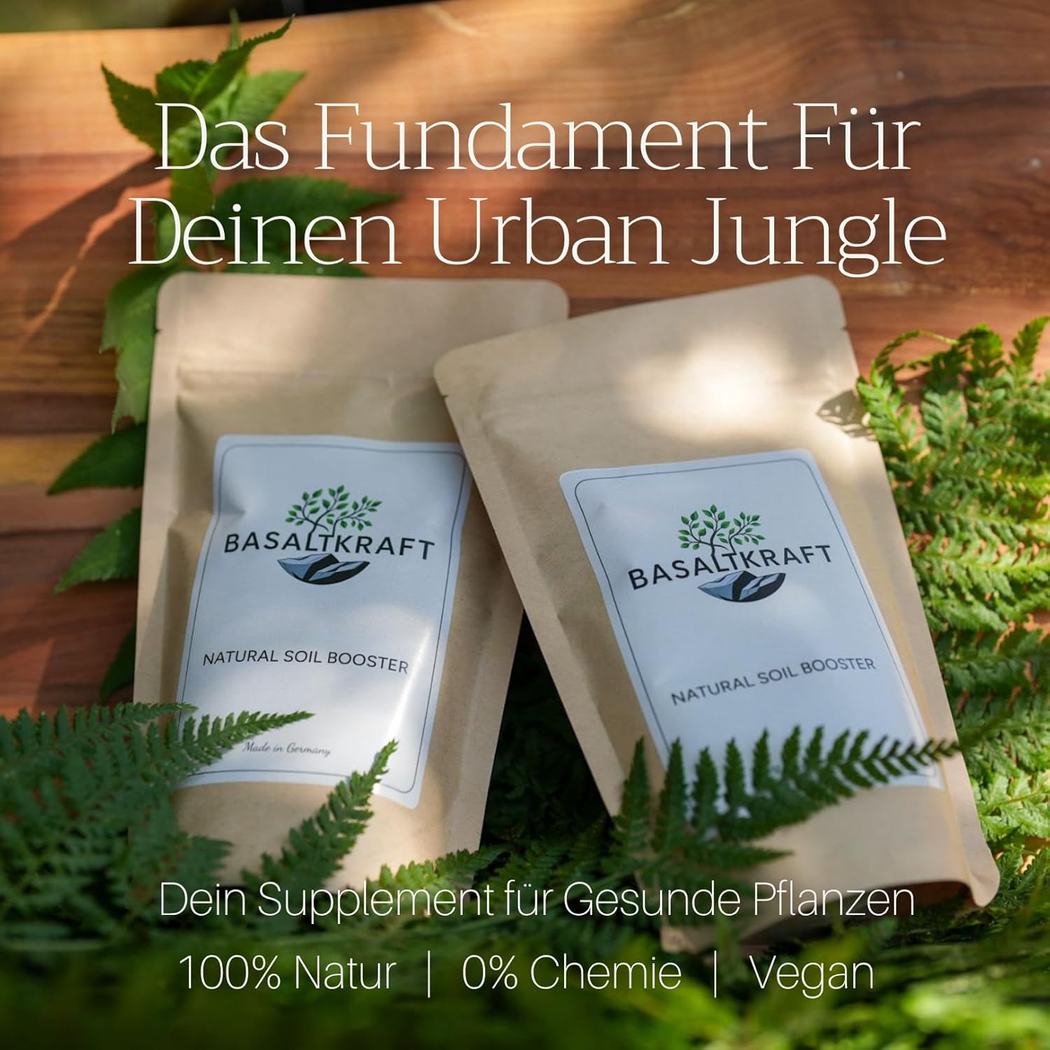 Basaltkraft (600g) | Premium-Supplement für Zimmerpflanzen