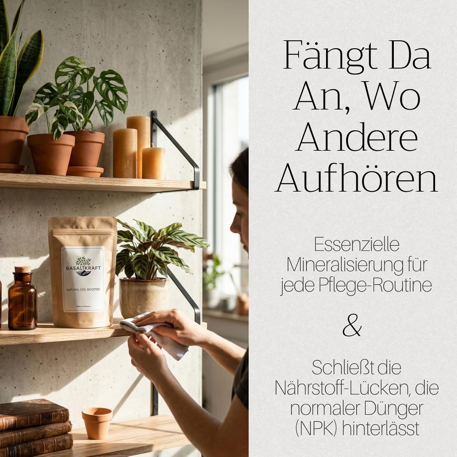 Basaltkraft (600g) | Premium-Supplement für Zimmerpflanzen