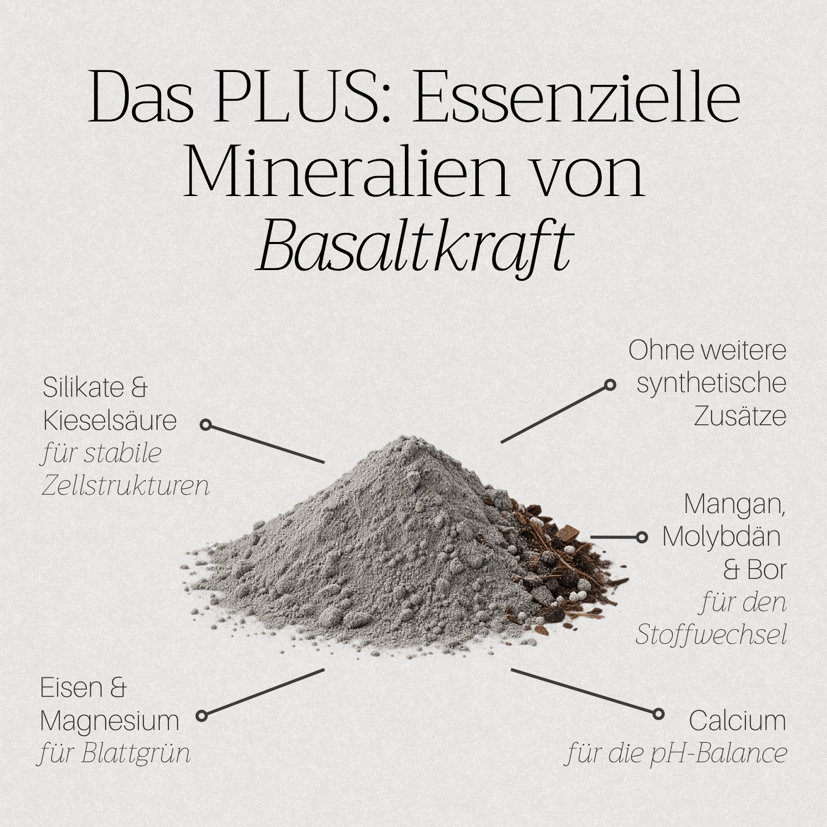 Araceae PLUS | Premium-Substrat mit Basaltkraft® mineralisiert