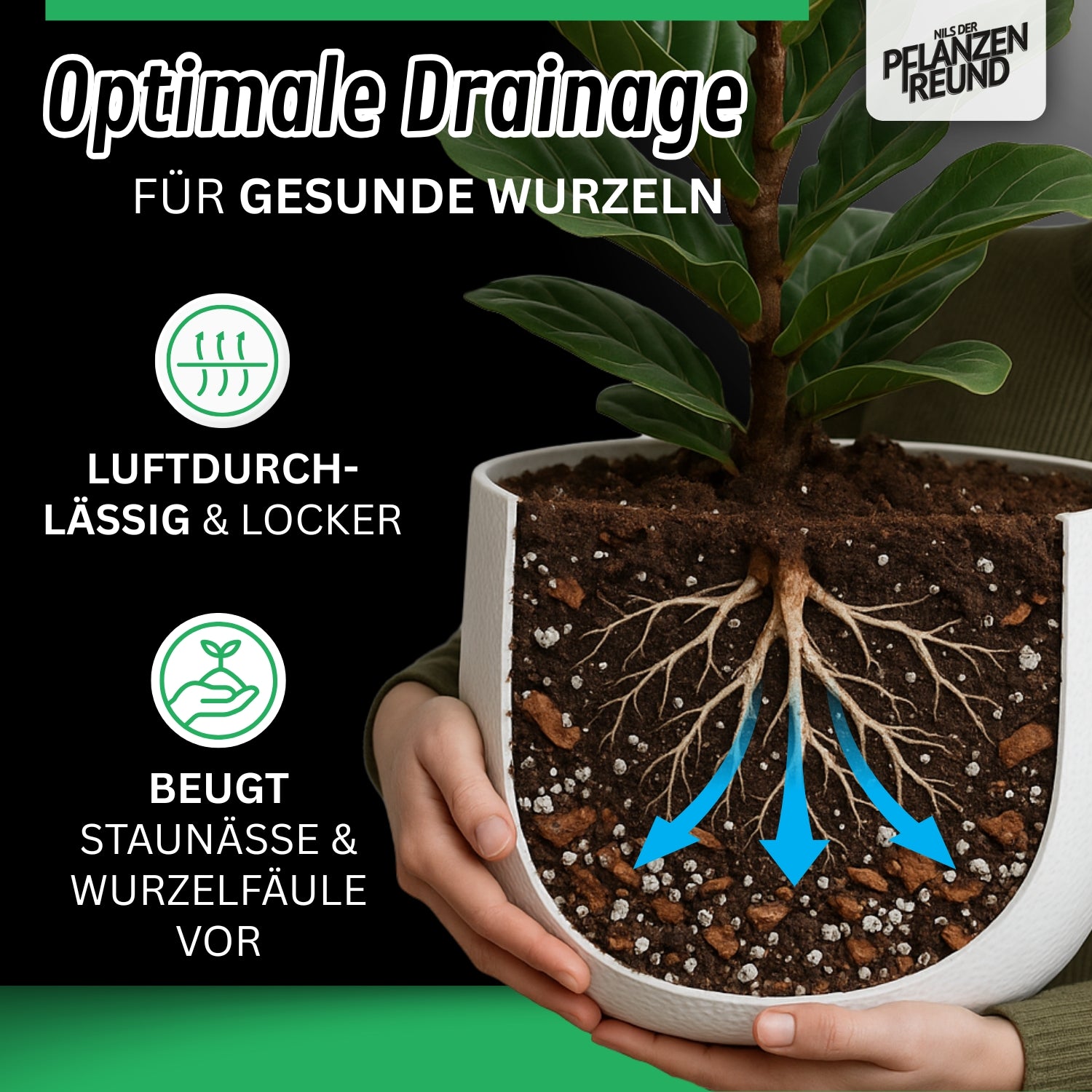 Araceae Substrat | Premium-Erde für Monstera, Philodendron, Alocasia