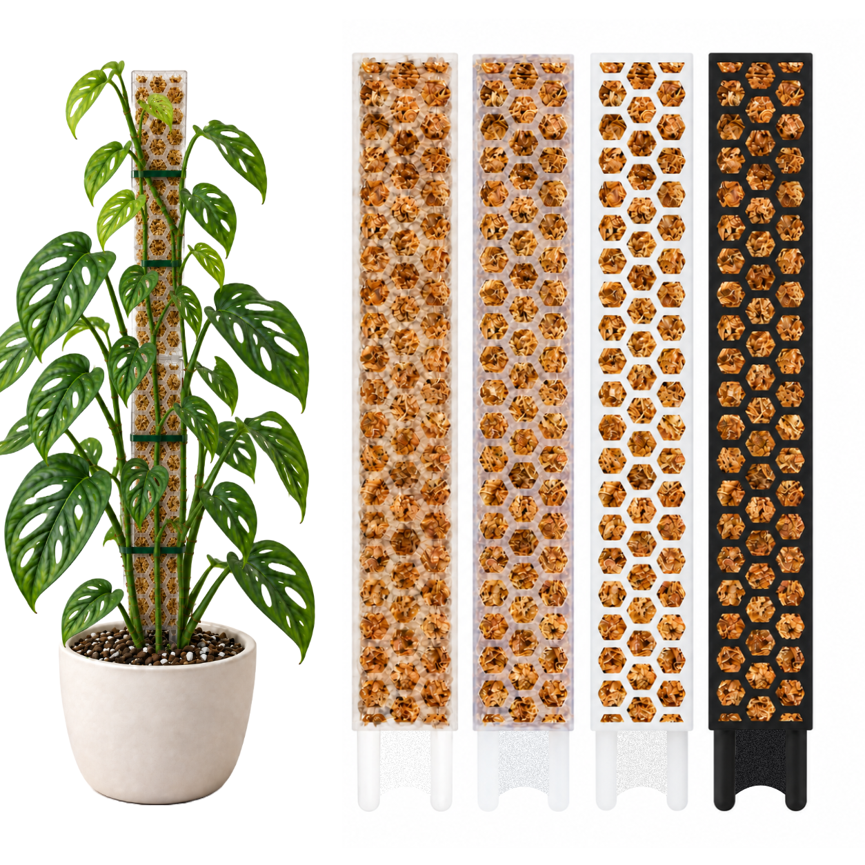 Moosstab L (40cm) | Rankhilfe für Monstera, Philodendron & Kletterpflanzen