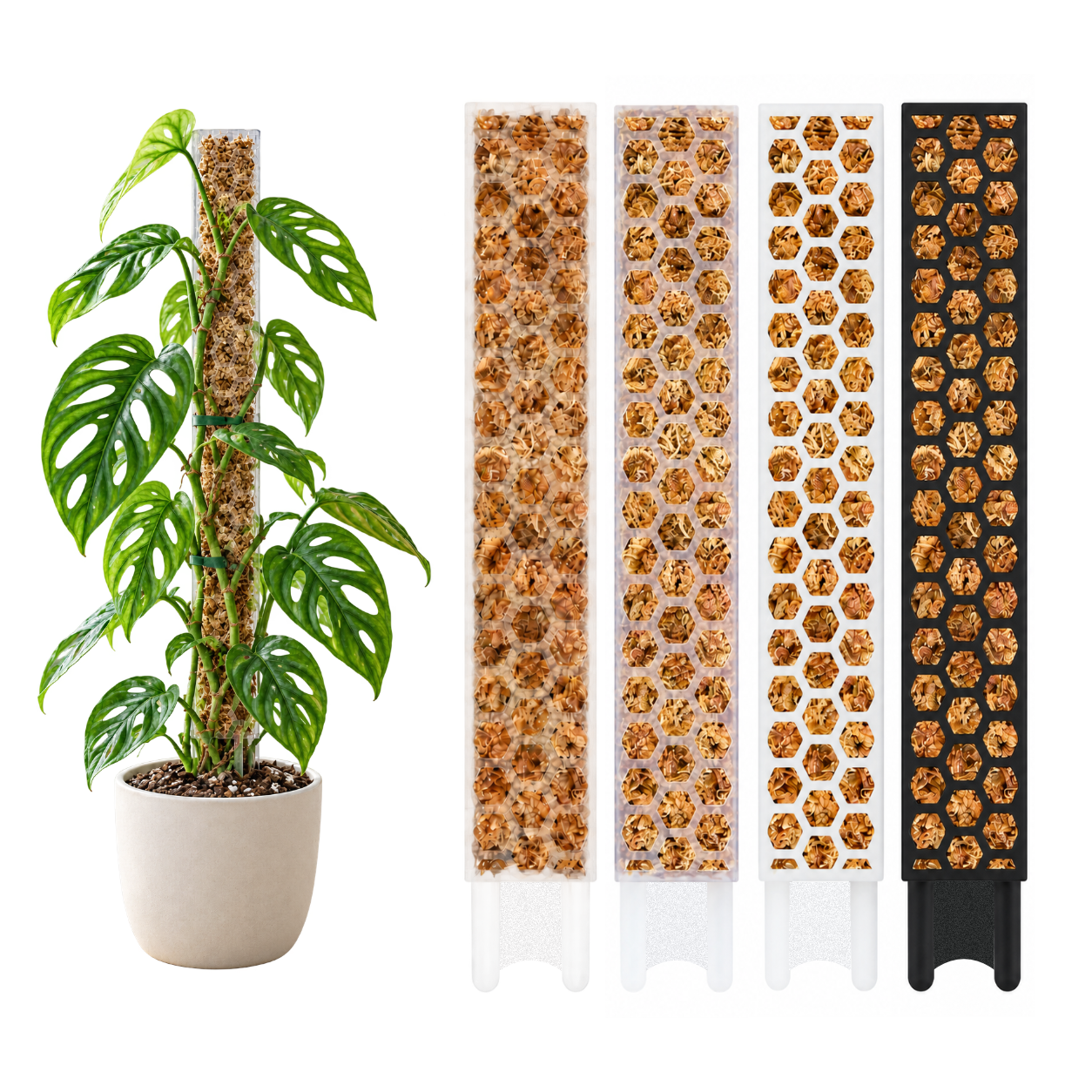 Moosstab M (35cm) | Rankhilfe für Monstera, Philodendron & Kletterpflanzen