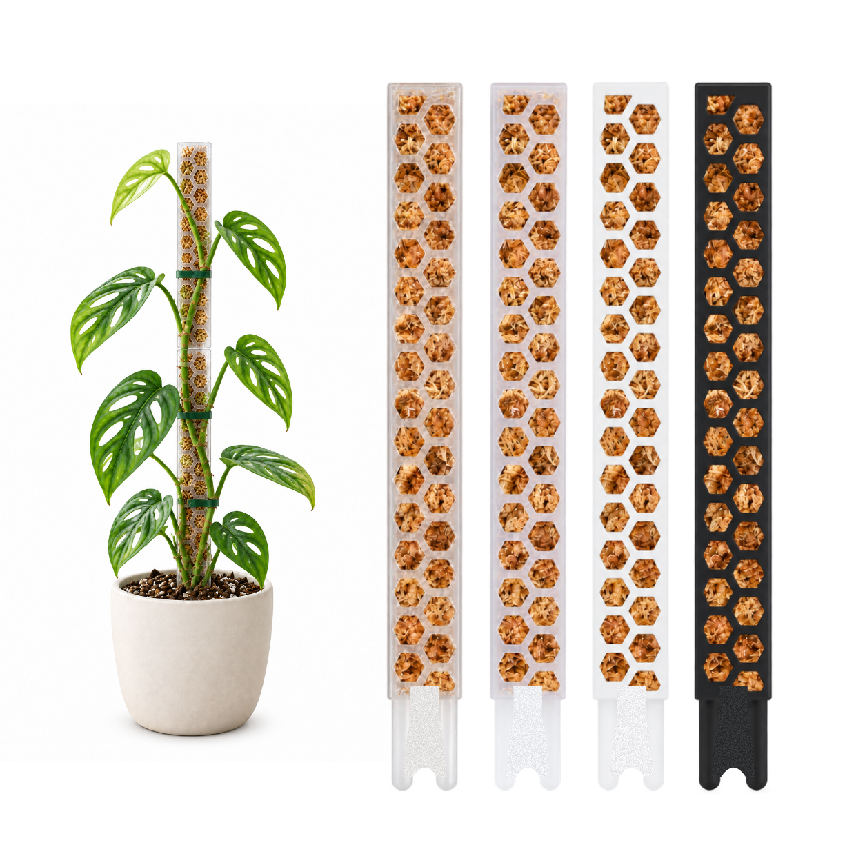 Moosstab S (30cm) | Rankhilfe für Monstera, Philodendron & Kletterpflanzen