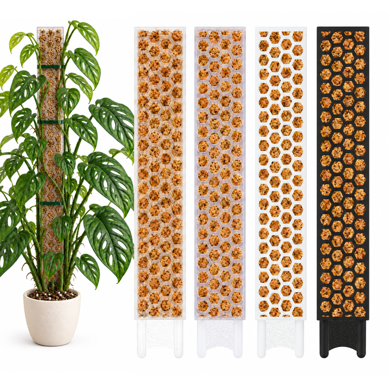Moosstab XL (53cm) | Rankhilfe für Monstera, Philodendron & Kletterpflanzen