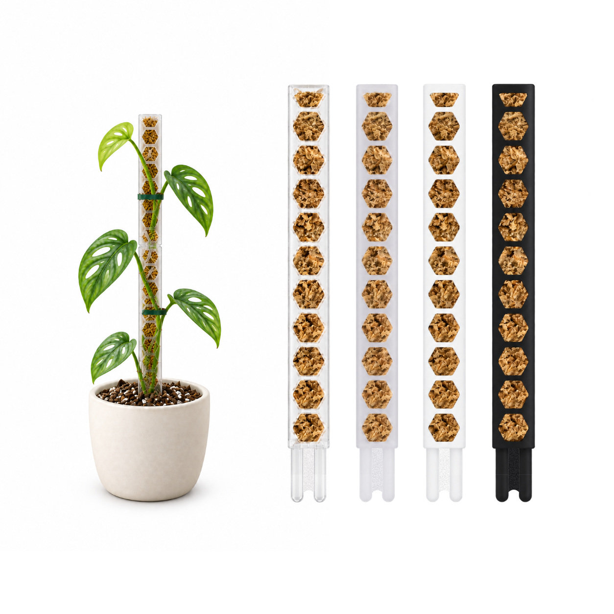 Moosstab XS (20cm) | Rankhilfe für Monstera, Philodendron & Kletterpflanzen