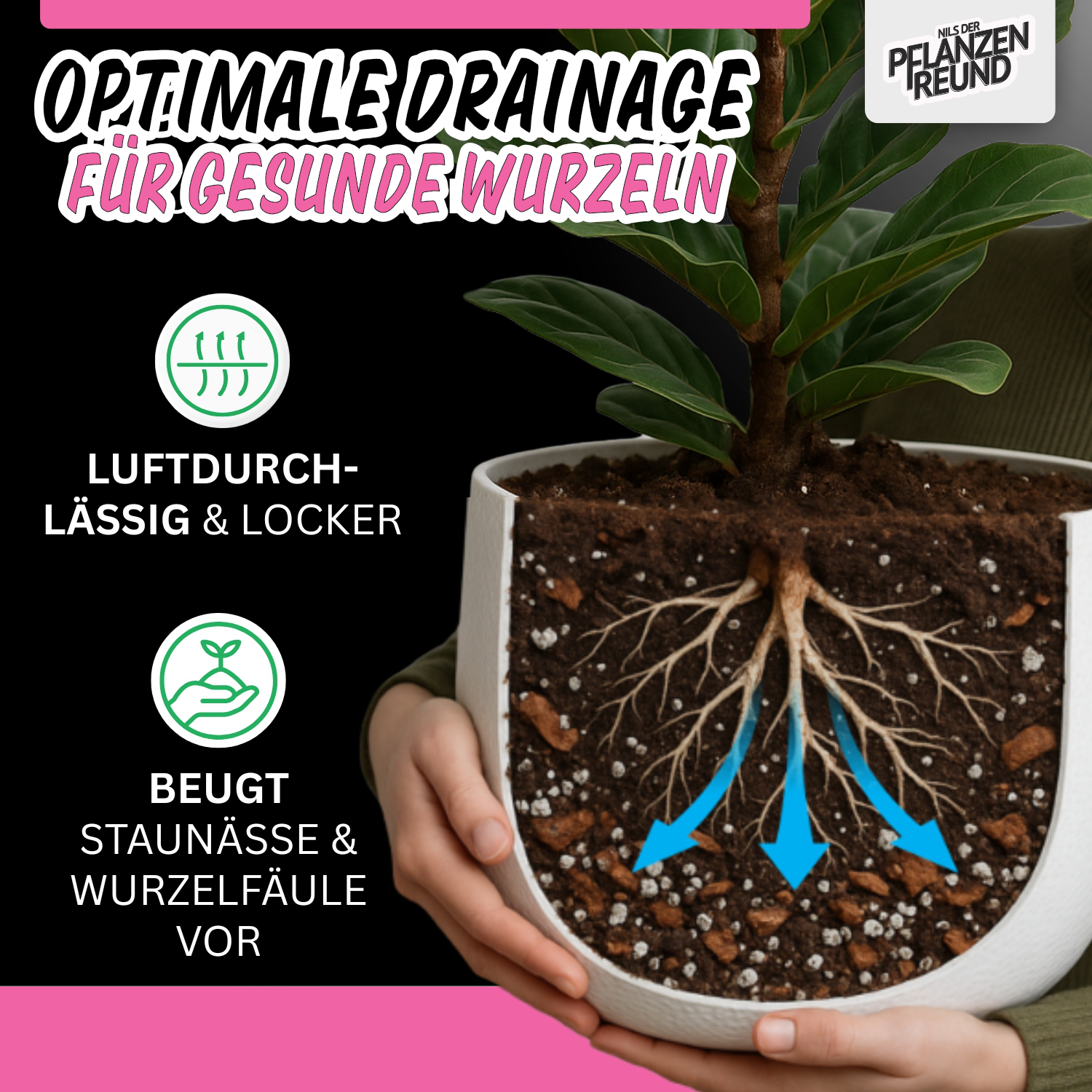 Palmen Substrat | Premium-Erde für Palmen aller Art
